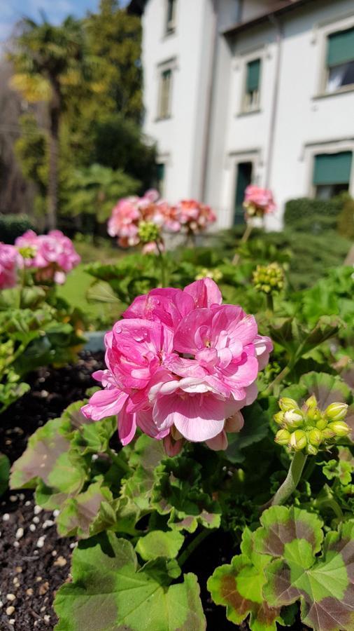 Villa Del Cigno Lecco Dış mekan fotoğraf